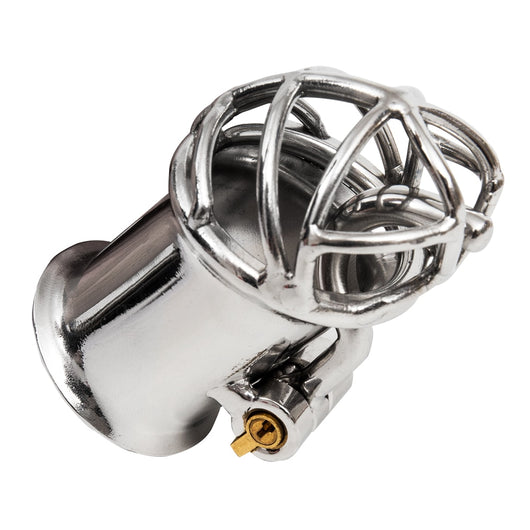 Stainless Steel PA Puncture Chastity Device